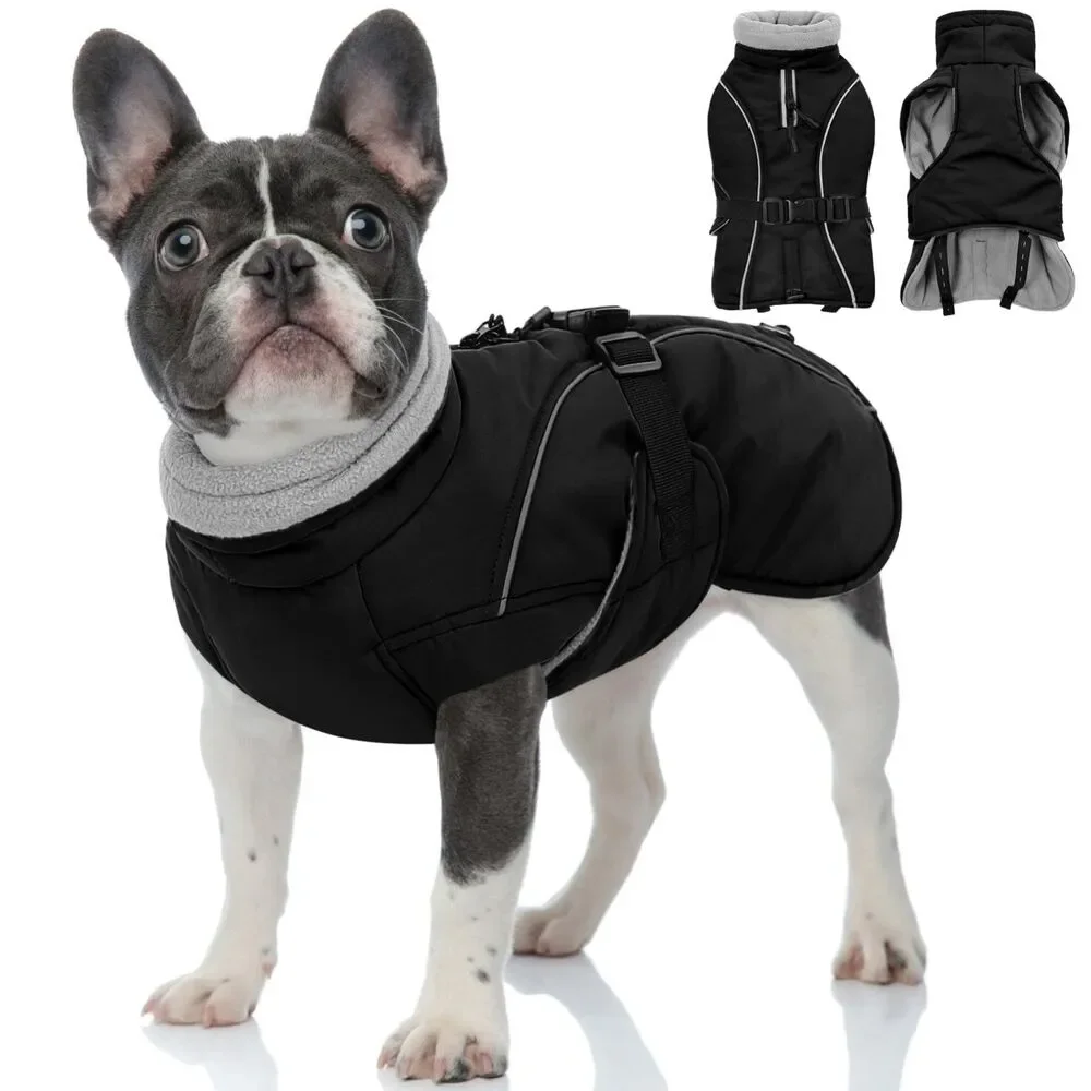 Queenmore Winter Dog Coat Waterproof Puffer Fleece Snowsuit, Black Small